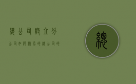 总公司设立分公司如何核名的（总公司的分公司是怎么注册的）