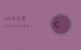 cxd是什么格式文件（CXD——新生词）