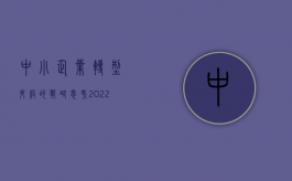 中小企业转型升级的战略思考（2022民营企业转型升级风险防控）