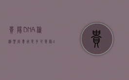 贵阳DNA检测鉴定费用是多少（贵阳dna亲子鉴定机构有哪些）