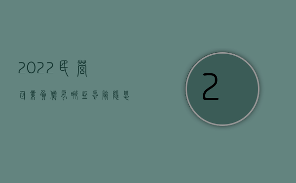 2022民营企业负债有哪些风险隐患（2022民营企业负债有哪些风险）