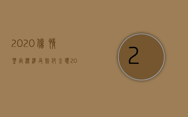 2020伤情鉴定标准及赔付金额（2022刑事伤害鉴定赔偿标准）