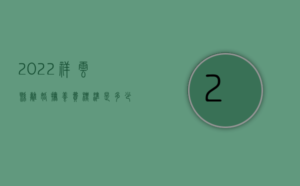 2022祥云县离婚抚养费标准是多少钱一个月（2022祥云县离婚抚养费标准）