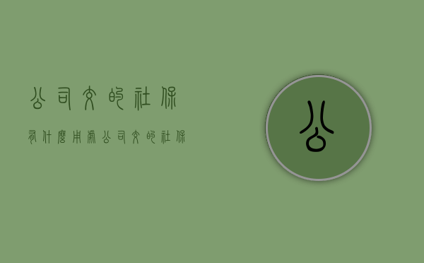 公司交的社保有什么用处（公司交的社保有什么用）