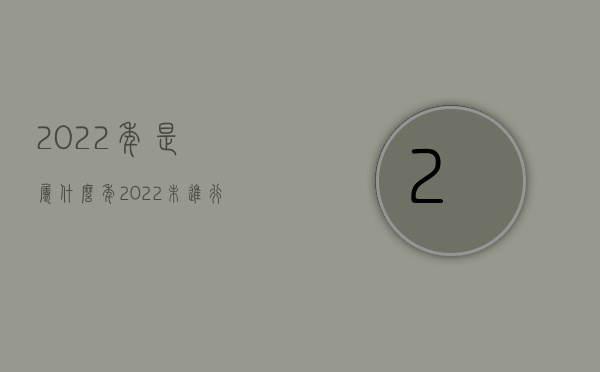 2022年是属什么年（2022未进行民事赔偿是否能假释）