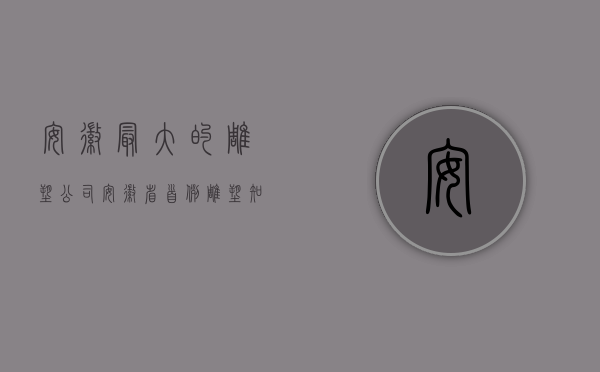 安徽最大的雕塑公司（安徽省首例雕塑知识产权案）