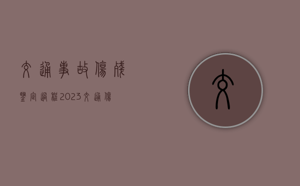 交通事故伤残鉴定过程（2023交通伤残赔偿标准表）