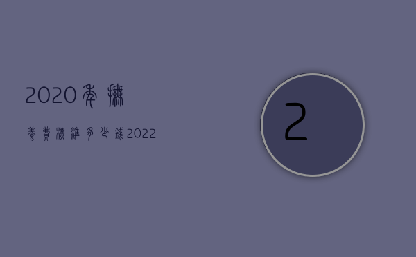 2020年抚养费标准多少钱（2022年抚养费标准多少）