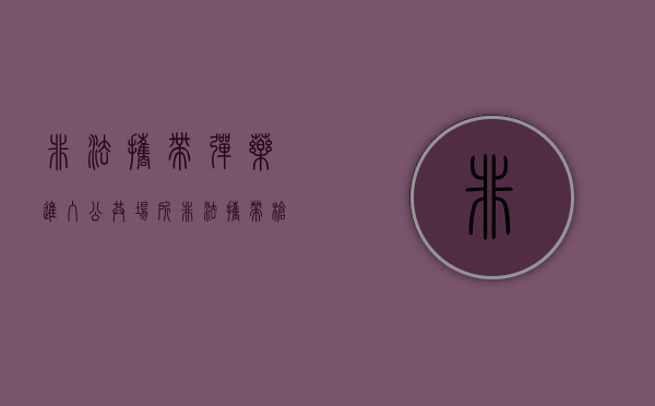 非法携带弹药进入公共场所（非法携带枪支、弹药罪）