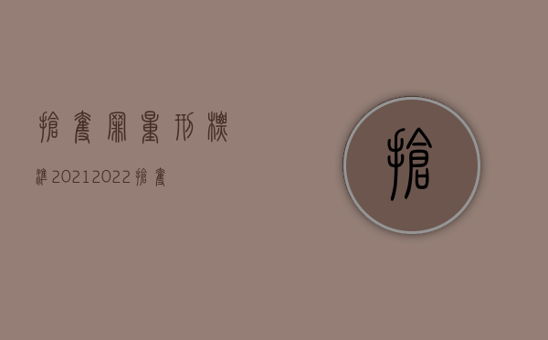 抢夺罪量刑标准2021（2022抢夺、窃取国有档案罪量刑标准是什么）