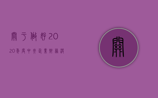 关于做好2020年度中央企业财务决算的意见（2020年财政部企业决算会）