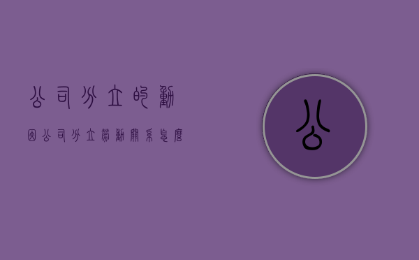 公司分立的动因（公司分立劳动关系怎么处理）