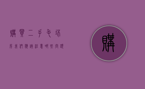 购买二手毛坯房我们应该注意哪些问题（购买二手房毛坯房应该注意什么）