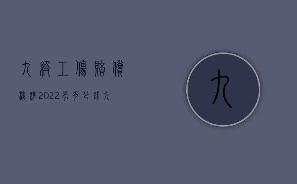 九级工伤赔偿标准2022有多少钱（九级工伤赔偿多少钱）