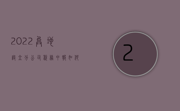 2022异地设立分公司税务申报如何办理流程视频（2022异地设立分公司税务申报如何办理流程）