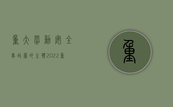 重大劳动安全事故罪的主体（2022重大劳动安全事故罪立案标准是怎么规定的）