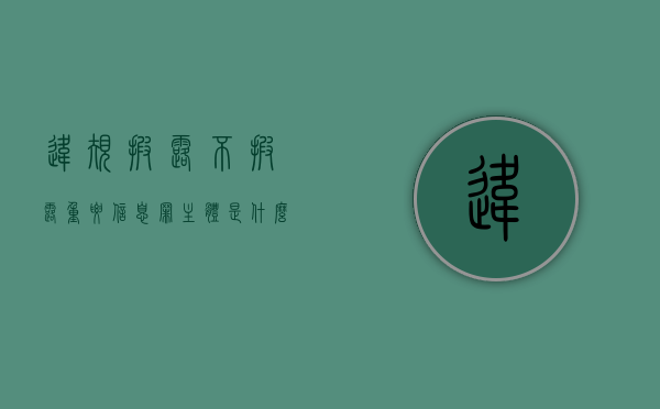 违规披露,不披露重要信息罪主体是什么（2022违规不披露重要信息罪立案条件是什么）