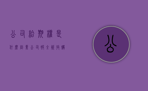 公司给期权是什么（创业公司被全资收购还有期权吗）