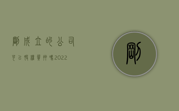 刚成立的公司可以股权质押吗（2022新公司法股权质押的规定是什么）