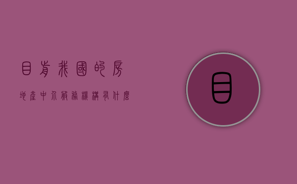 目前我国的房地产中介服务机构有什么（从事数据交易中介机构提供服务有什么要求）