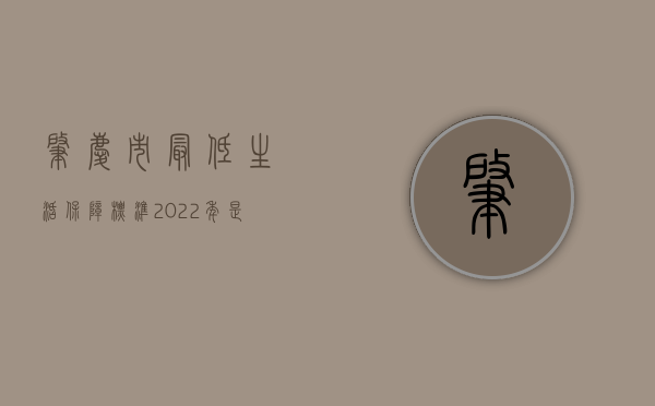 肇庆市最低生活保障标准2022年是多少（2022年肇庆社抚养费问题）