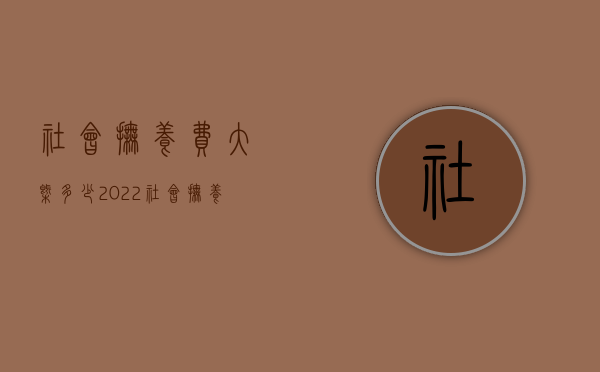 社会抚养费大概多少（2022社会抚养费的计算标准是什么）