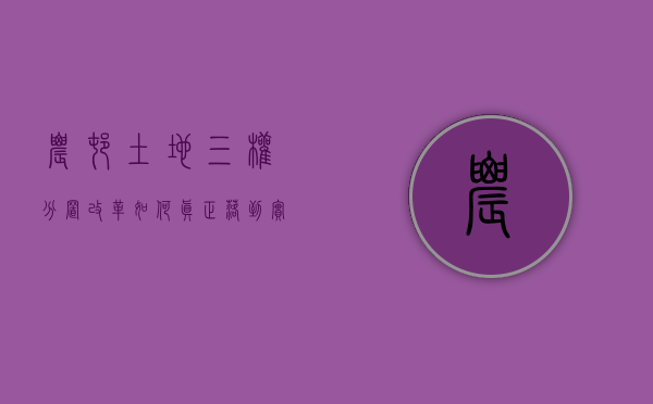 农村土地“三权分置”改革如何真正落到实处？（农村土地流转协议合同）