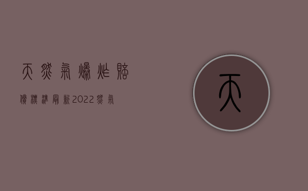 天然气爆炸赔偿标准最新（2022燃气管道爆炸致人伤亡,适用国家赔偿法吗）