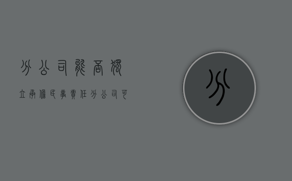 分公司能否独立承担民事责任（分公司可以独立承担民事责任吗）