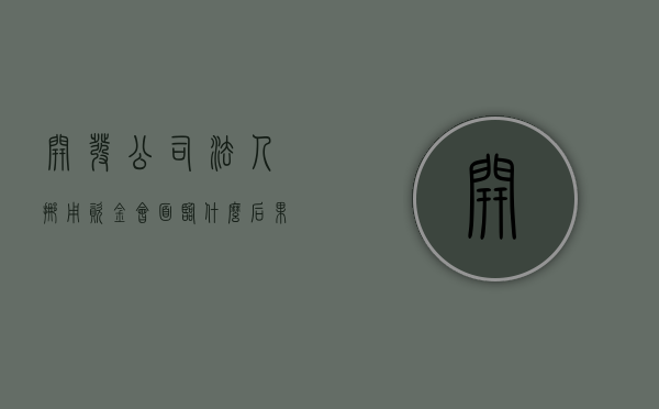 开发公司法人挪用资金会面临什么后果（公司法人挪用公司资金是否犯法）