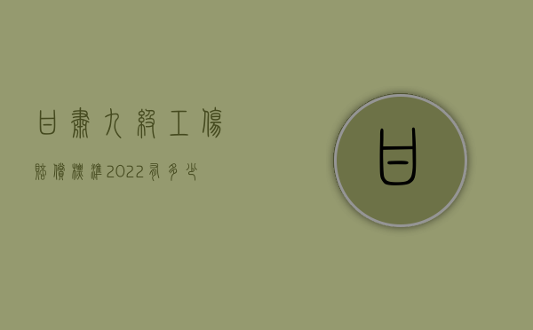 甘肃九级工伤赔偿标准2022有多少钱（甘肃工伤九级伤残赔偿标准2020）