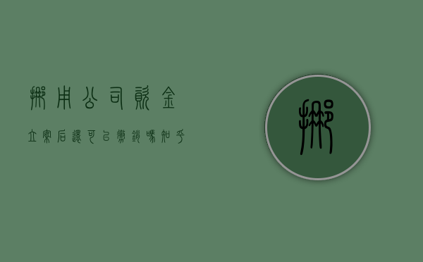 挪用公司资金立案后还可以撤销吗知乎（挪用资金罪公司报案了还能撤诉吗）