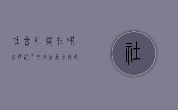 社会组织在哪些情况下可以成为实施行政许可的主体（社会组织的行政主体地位）