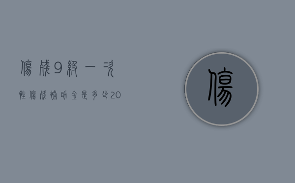 伤残9级一次性伤残补助金是多少（2022医疗过错九级赔偿标准是如何的）