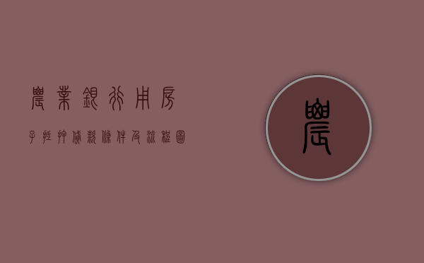 农业银行用房子抵押贷款条件及流程图片（2022怎么办理农房抵押贷款手续）