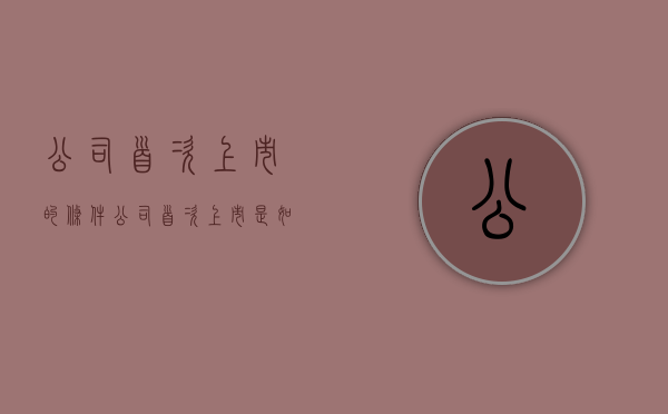 公司首次上市的条件（公司首次上市是如何获取资金）