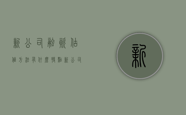 新公司融资估值方法有什么特点（新公司融资估值方法有什么优点）