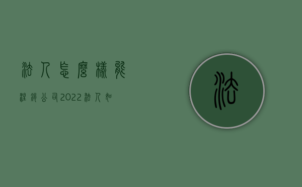 法人怎么样能注销公司2022（法人如何注销）