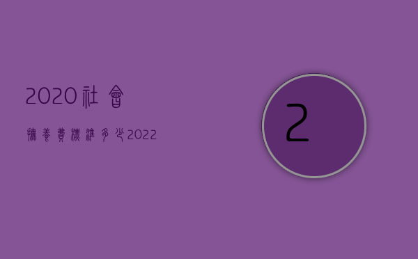 2020社会抚养费标准多少（2022社会抚养费的最新政策还征收）