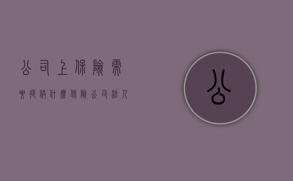 公司上保险需要提供什么（保险公司法人资质要求是什么）