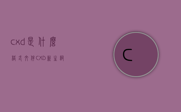 cxd是什么格式文件（CXD——新生词）